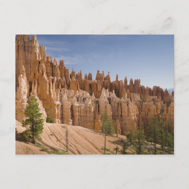 Bryce Canyon National Park Postcard (Front)