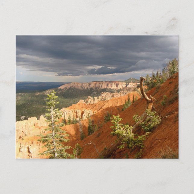 Bryce Canyon National Park Postcard (Front)