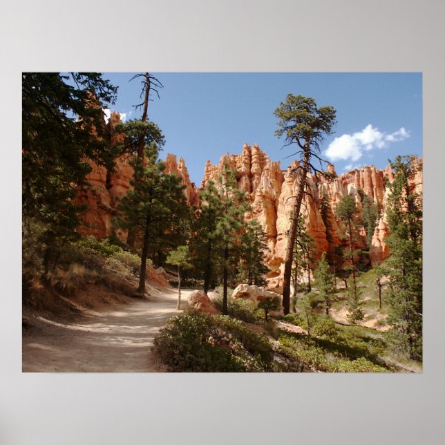 Bryce Canyon National Park Trail Poster (Front)
