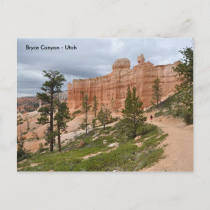 Bryce Canyon National Park Trail - Utah Postcard