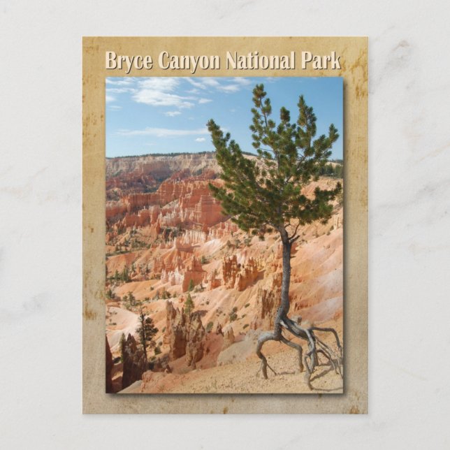 Bryce Canyon National Park,  Utah Postcard (Front)