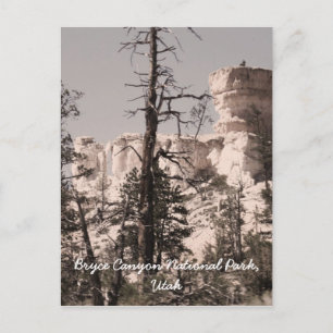 Bryce Canyon National Park, Utah Postcard