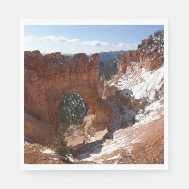 Bryce Canyon Natural Bridge Snowy Landscape Photo Napkin (Front)