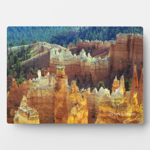 Bryce Canyon Plaque