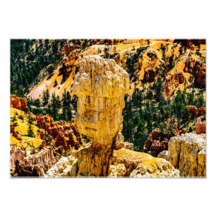 Bryce Canyon Robot Man Photo Print