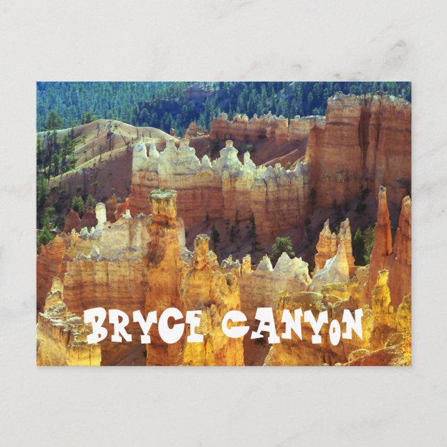 Bryce Canyon Travel Postcard (Front)