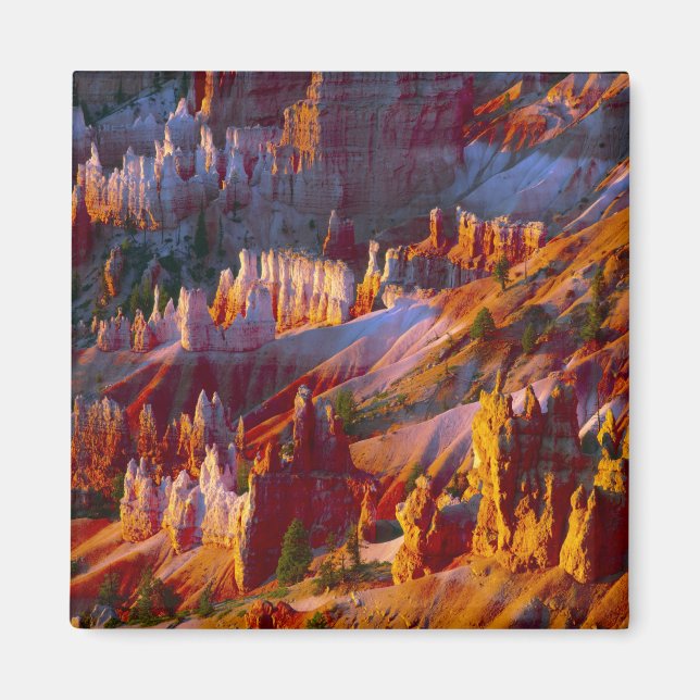 Bryce Canyon, Utah, USA 2 Magnet (Front)