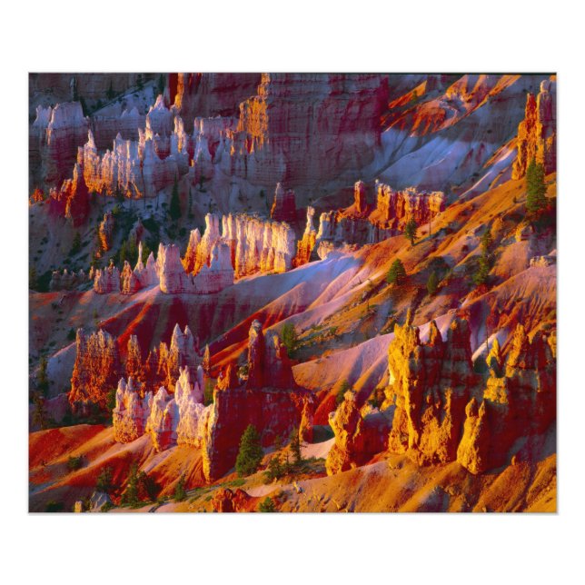 Bryce Canyon, Utah, USA 2 Photo Print (Front)
