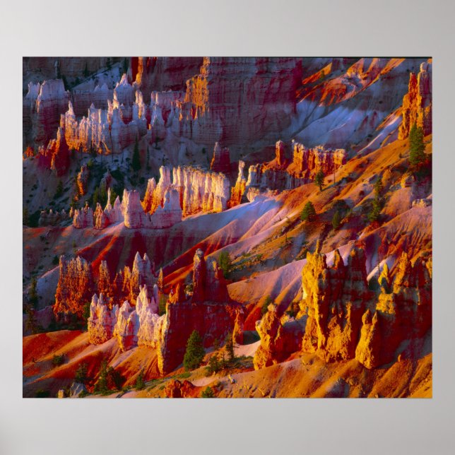 Bryce Canyon, Utah, USA 2 Poster (Front)