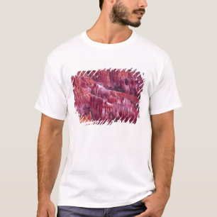 Bryce Canyon, Utah, USA T-Shirt