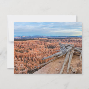 Bryce National Park Canyon at Sunrise Postcard