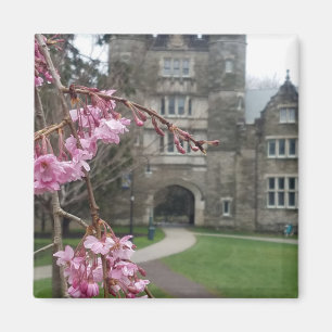 Bryn Mawr College in springtime Pem Arch Magnet