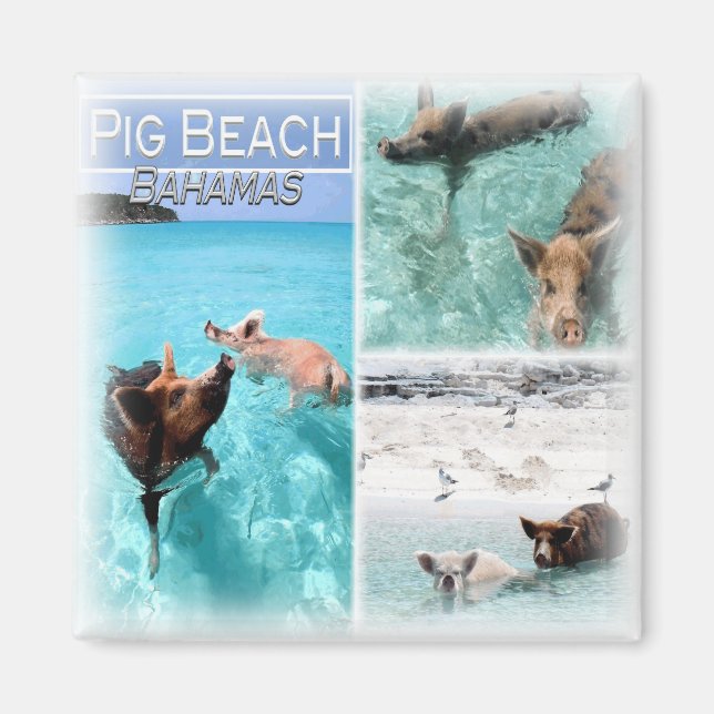 BS0018 America, Bahamas, Fridge  Magnet (Front)