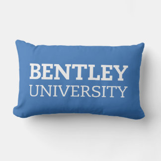 BU LUMBAR CUSHION