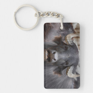 Bubalus bubalis key ring