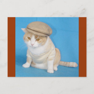 Bubba Kitty Postcard