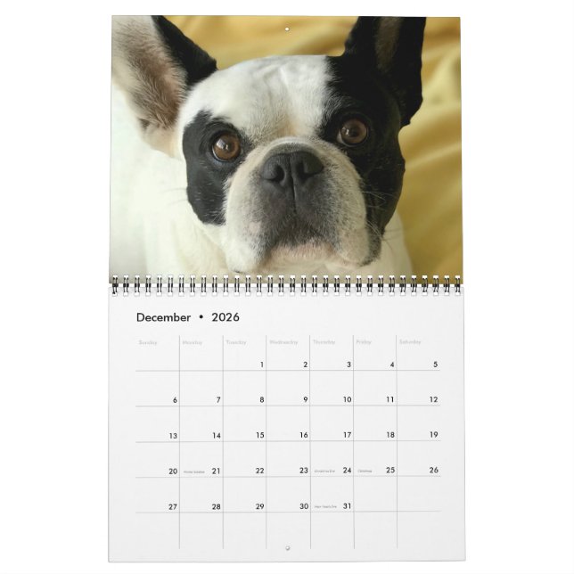 Bubba Louie 2020 Calendar (Dec 2026)
