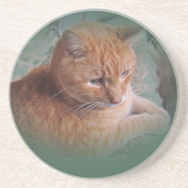 Bubba the Orange Tabby Tomcat Coaster (Front)