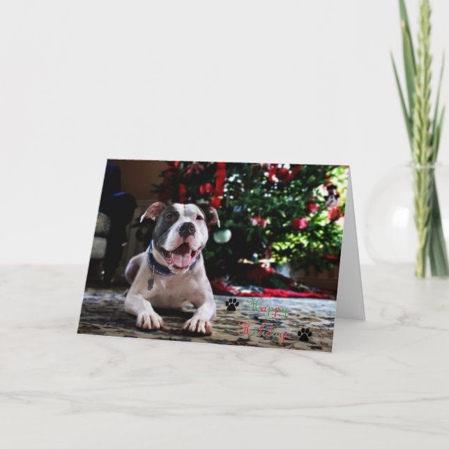 Bubba's Happy Holidays Holiday Card (Front)