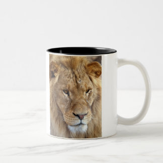 Bubba's Lion mug.. Two-Tone Coffee Mug