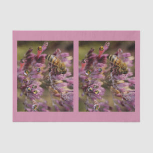 Bubble Bees Tissue Paper