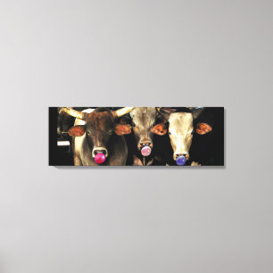 Bubble Gum Blowing Rodeo Bull Cows Western Pop Art Canvas Print