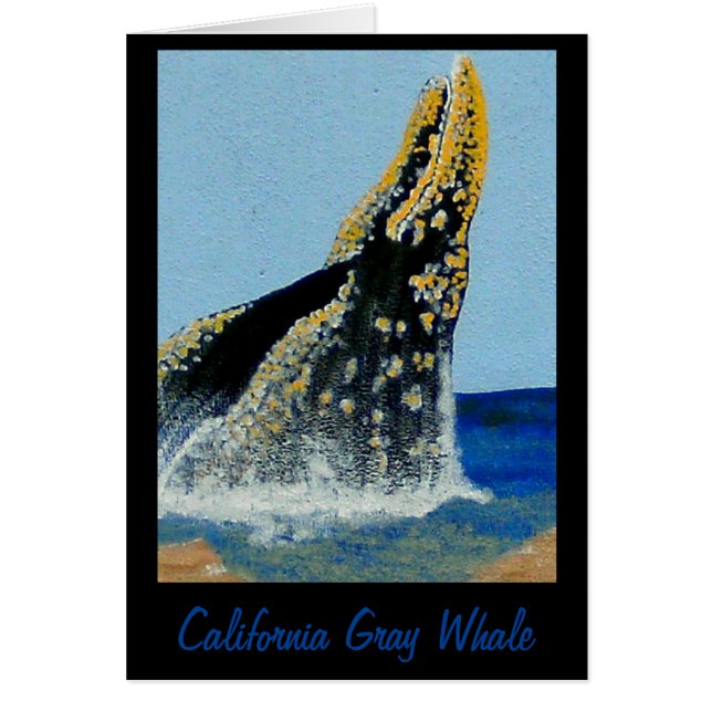 Bubblepacific blankets (Front)