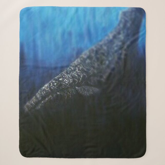 Bubblepacific blankets (Front)