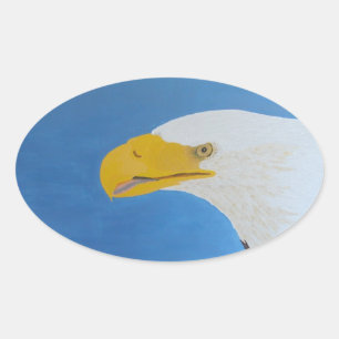 Bubblepacific bumper stickers, eagle oval sticker