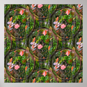 Bubbles in Fall...... Poster