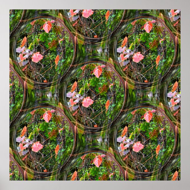 Bubbles in Fall...... Poster (Front)