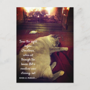 Bubbles Sleeping by the Fire Postcard