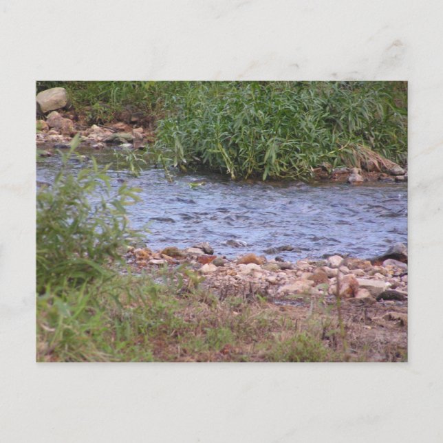 Bubbling Creek Postcard (Front)