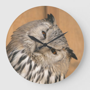 Bubo bubo sibiricus large clock