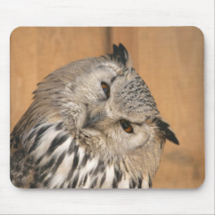 Bubo bubo sibiricus mouse pad