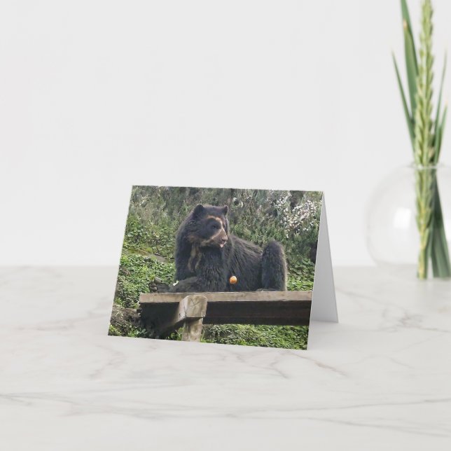Bubu Avocado Notecard (Front)