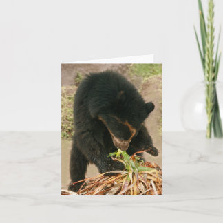 Bubu Notecard PB1