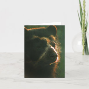 Bubu Notecard PB2