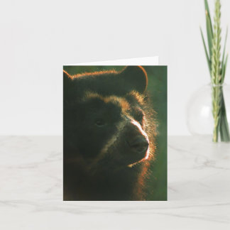 Bubu Notecard PB2