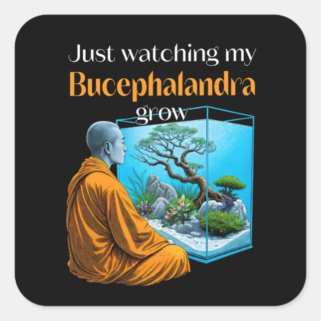 Bucephalandra Zen – A Meditative Aquascaping Square Sticker (Front)