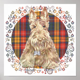 Buchanan Tartan Scottie Poster