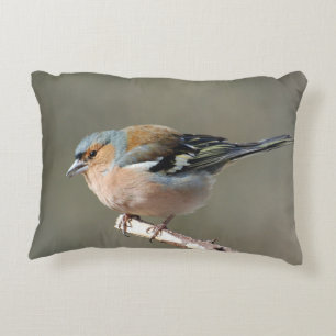 BUCHFINK decorative pillows - photograph Jean-Loui
