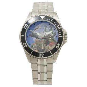 Buck and bull moon watch
