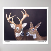 Buck and Doe Deer