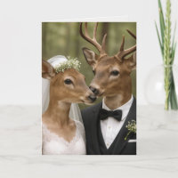 Buck and Doe Deer Wedding In Forest