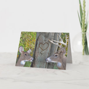 buck and doe with heart on tree card