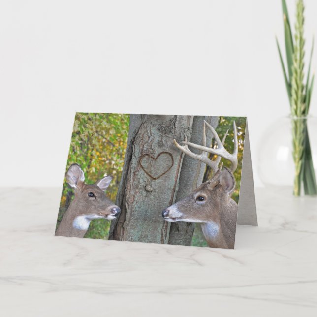 buck and doe with heart on tree card (Front)
