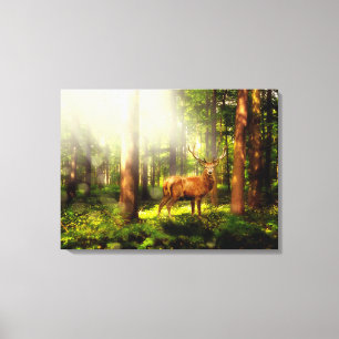 Buck Canvas Print