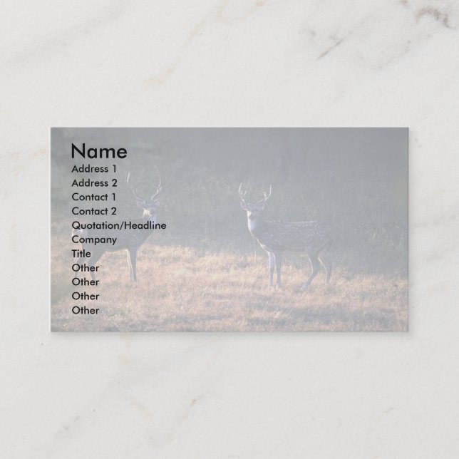Buck confrontation at dawn business card (Front)