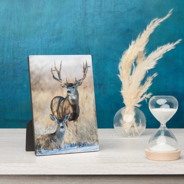 Buck Couple | Mule Deer Plaque (Side)